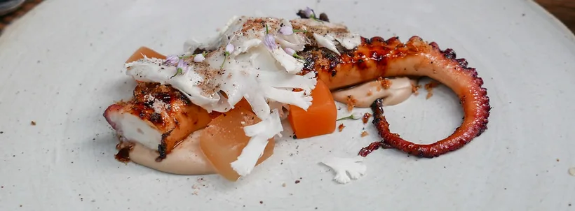 Grilled octopus at BOKA in July 2018, with vegetables and shaved garnish